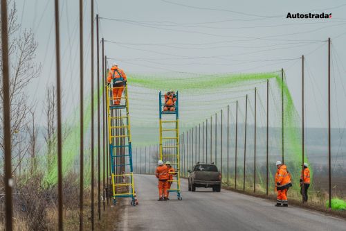 d11c20808dca2600511989f4f3f66946